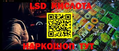 spice Свободный