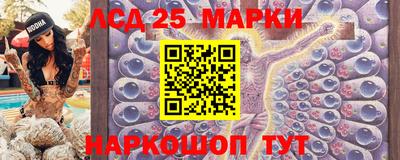 spice Свободный