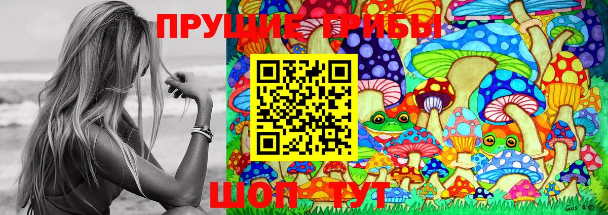 Сорочинск  Галлюциногенные грибы Cubensis  Вход с VPN 